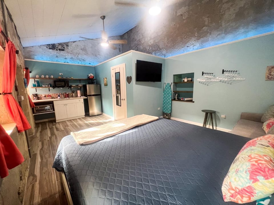 Bed, TV and multimedia, Kitchen or kitchenette, Photo of the whole room, Bedroom, minibar, toaster