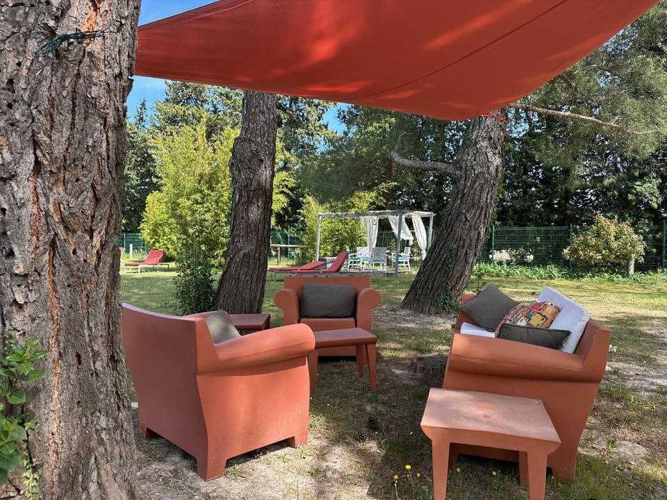 Garden view