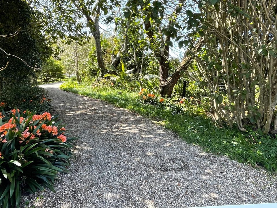 Pa Road B&B Kerikeri NZ Bed and Breakfast in Northland