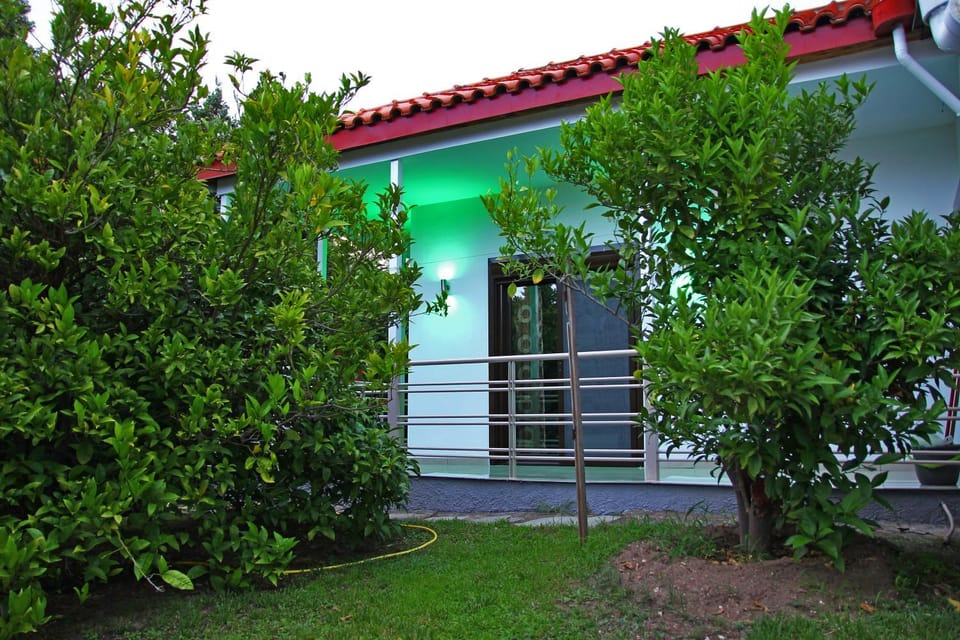 Property building, Garden, Garden view