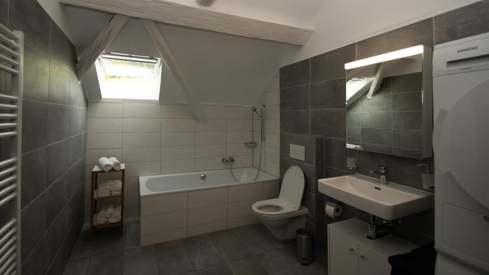 gîtes gorevirat 2 appartements avec jacuzzis et terrasses privatives pour chaque appartement Apartment in Canton of Bern (Region)