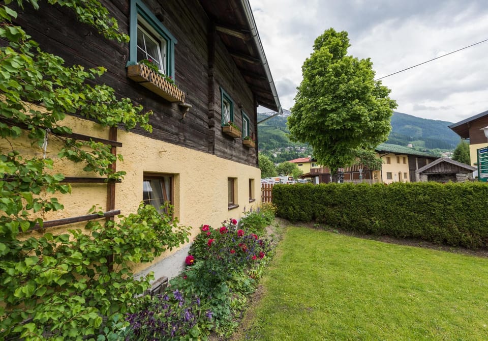 Property building, Summer, Garden