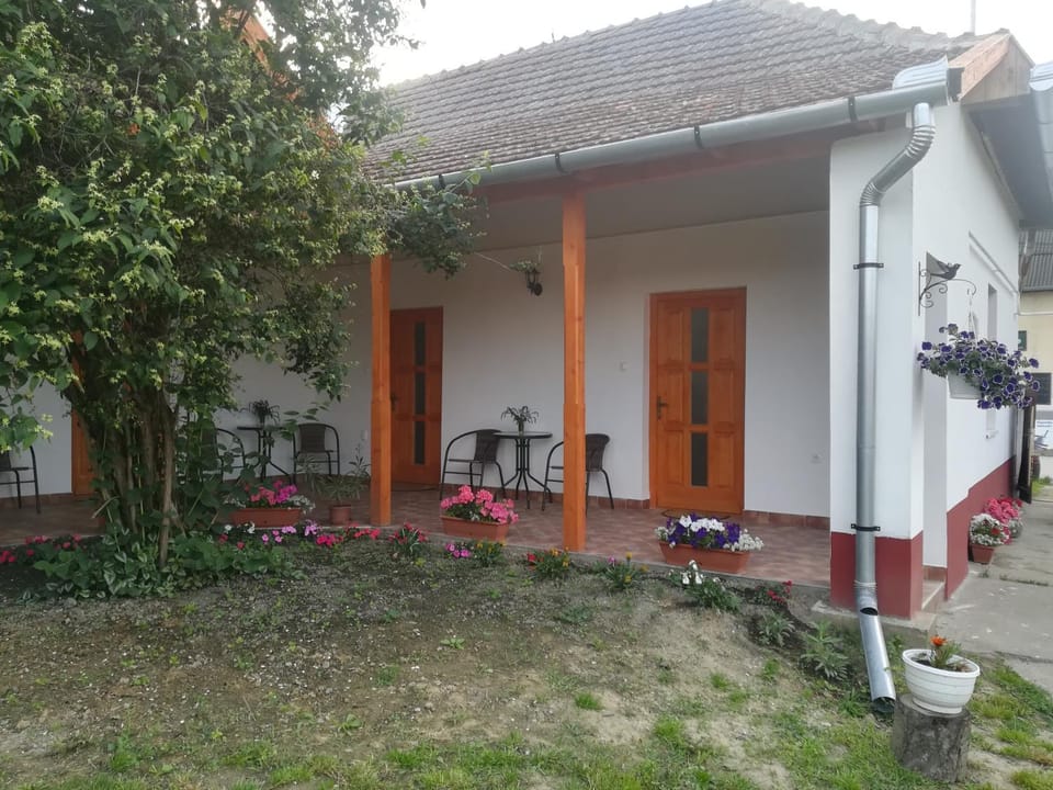 Négy Tücsök Vendégház Bed and Breakfast in Hungary