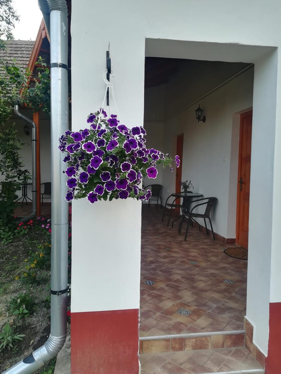 Négy Tücsök Vendégház Bed and Breakfast in Hungary