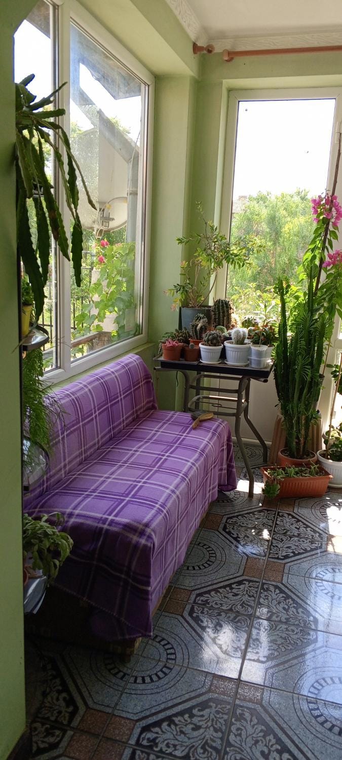 гостевой дом у Снежаны Bed and Breakfast in Varna Province