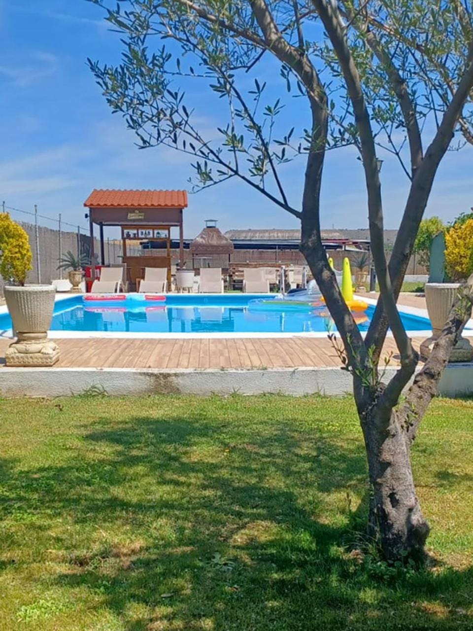Natural landscape, Garden, Swimming pool, sunbed