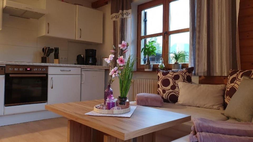 Kitchen or kitchenette, Seating area, Dining area, dishwasher, oven, stove