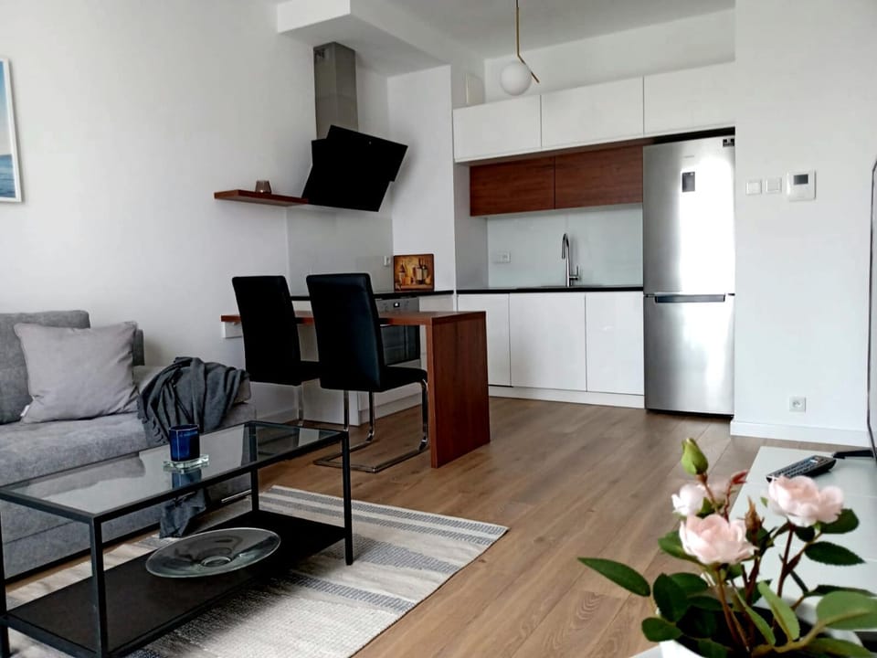 Kitchen or kitchenette, Living room, Dining area, stove