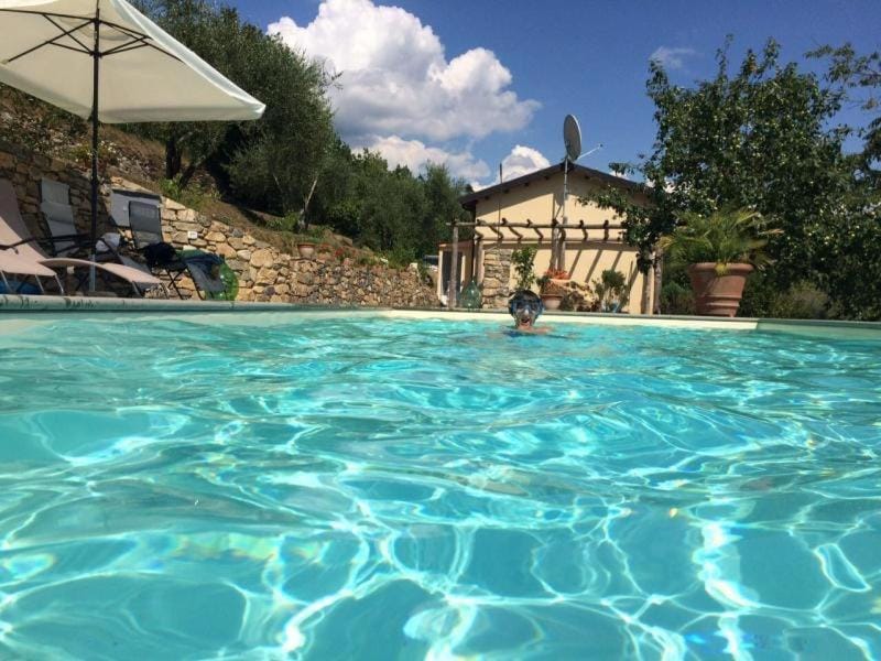 Swimming pool, Swimming pool