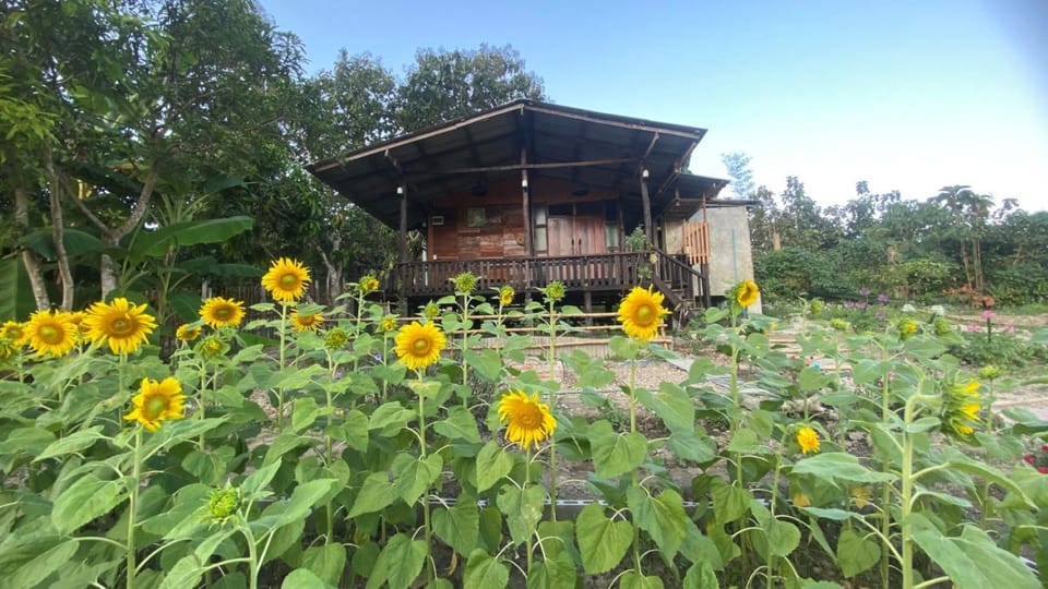 Garden, Garden view