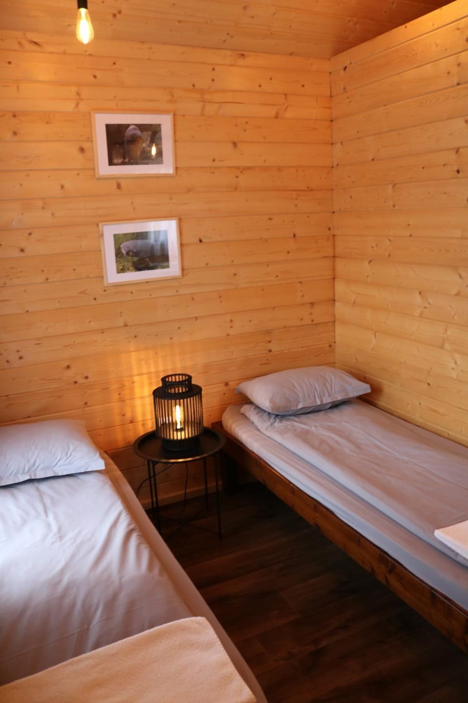 Lac Sanmarghita - Cabin with lake view terrace Cabin in Cluj County