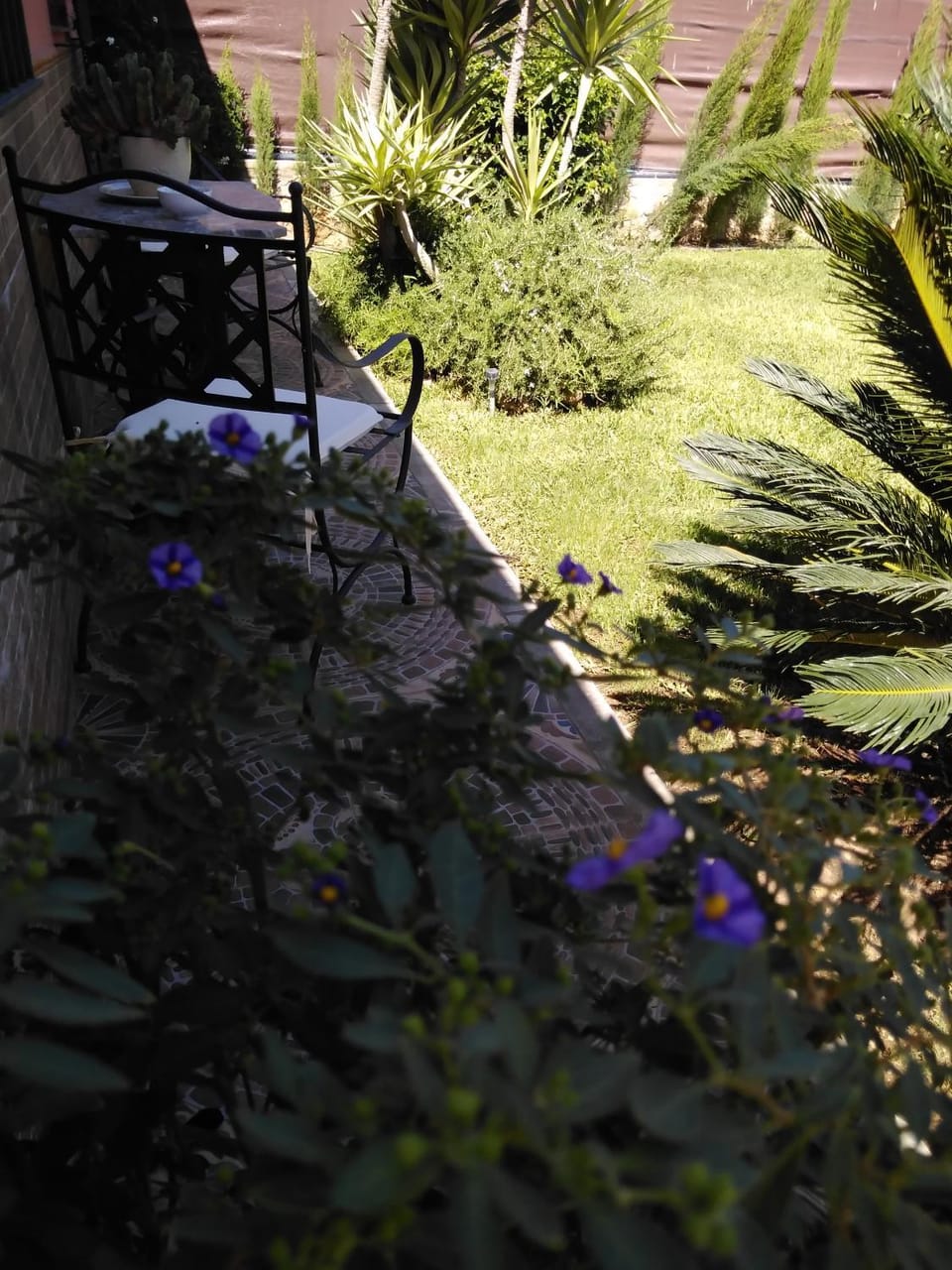 Spring, Day, Garden, Garden, Balcony/Terrace