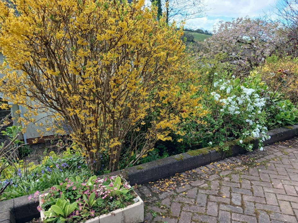 Laugharne Cottage Golwg Harddwch - pure water Apartment in Laugharne