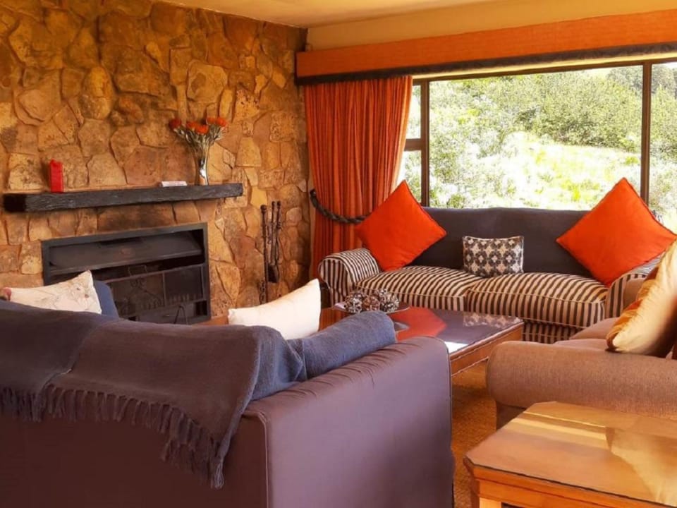 Living room, Photo of the whole room