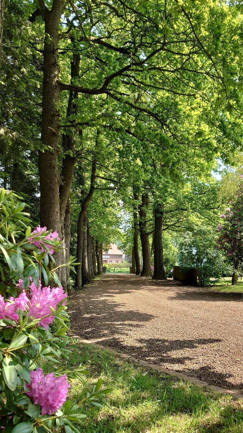 De Tuun - Landhaus Lübbertsfehn Apartment in Lower Saxony, Germany
