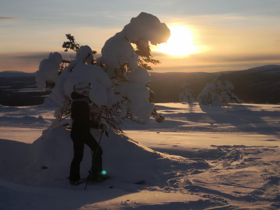 Natural landscape, Winter, Sunset