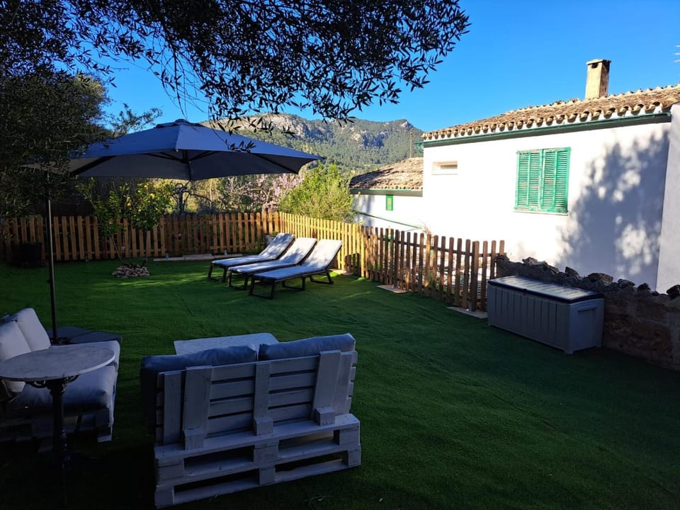 Natural landscape, Garden, Garden view, sunbed
