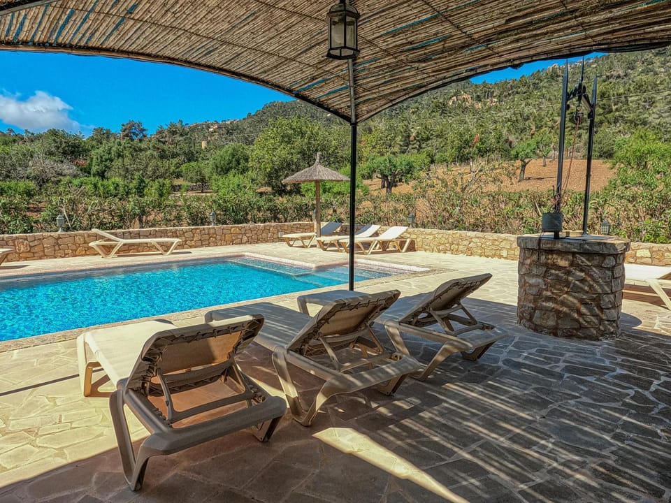 Natural landscape, Swimming pool, sunbed