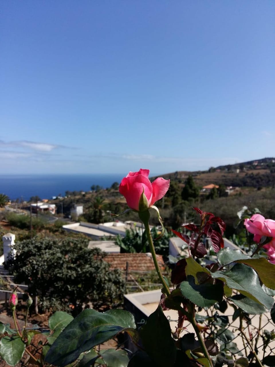 Off site, Natural landscape, Garden view, Sea view