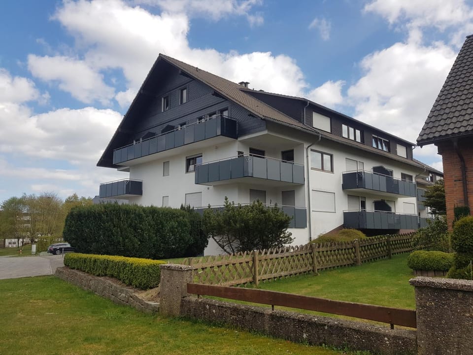 Property building, Summer, Garden