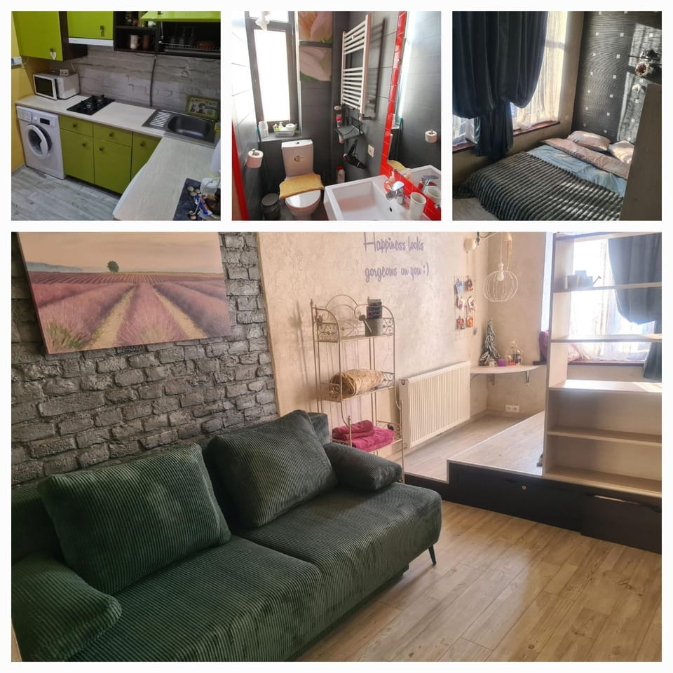 Kitchen or kitchenette, Living room, Seating area, Bedroom