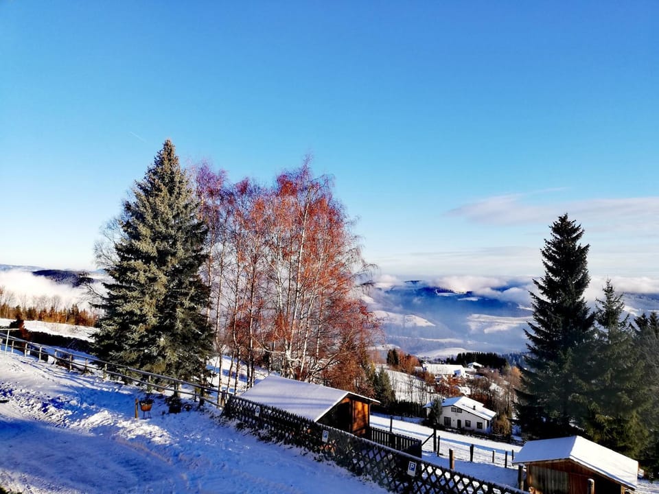 Day, Winter, Mountain view