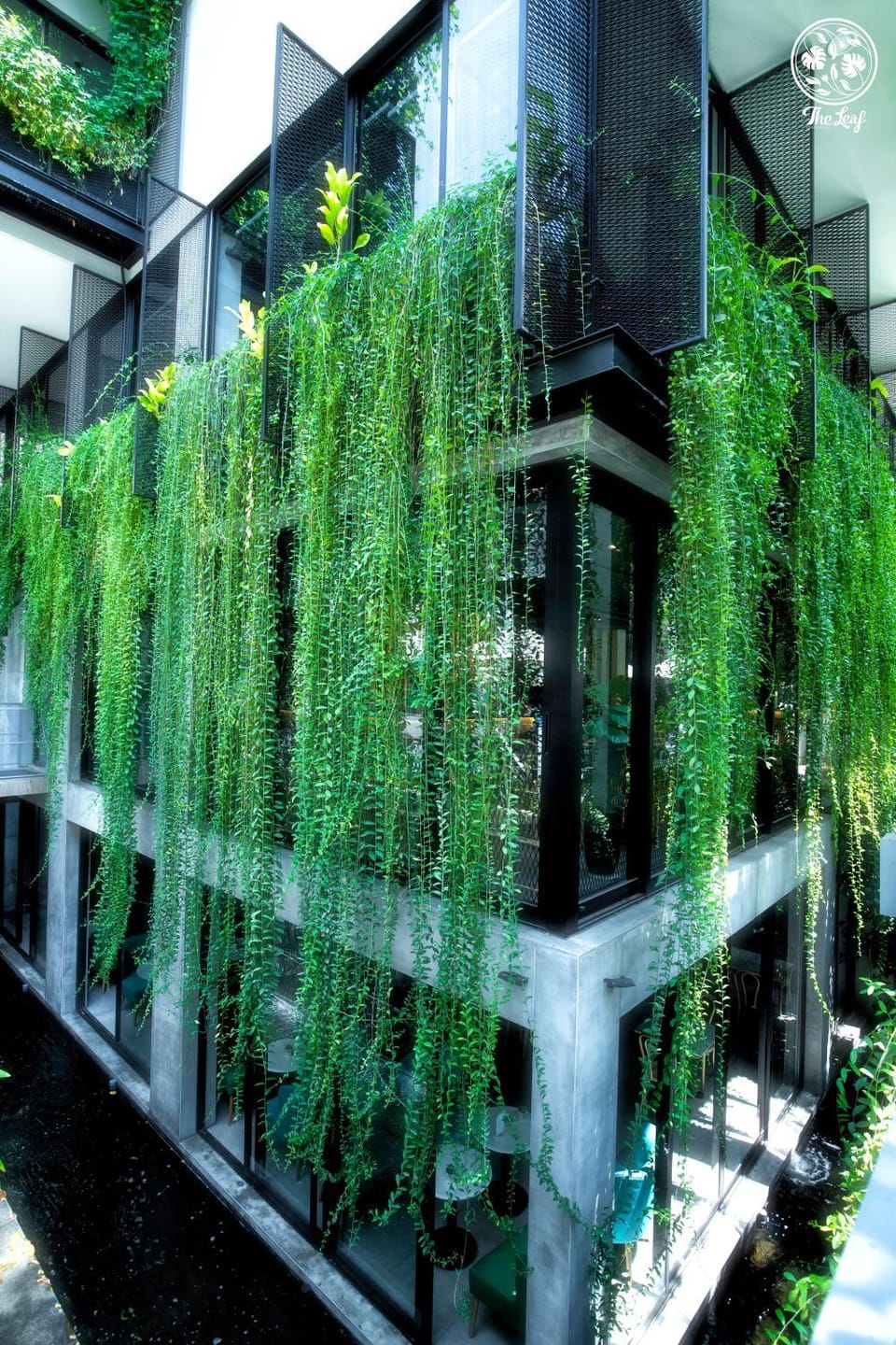 Property building, Garden