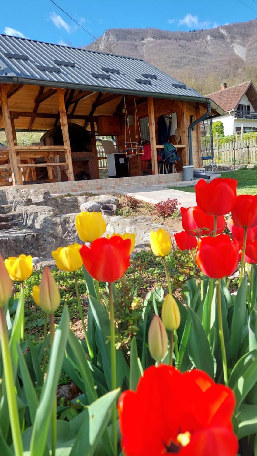 Patio, Garden, Garden view, Inner courtyard view