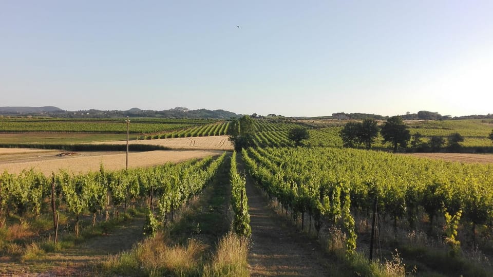 Agriturismo La Chiesina Farm Stay in Tuscany