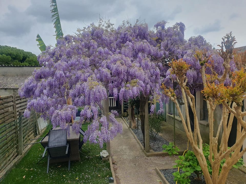 Garden, Garden view