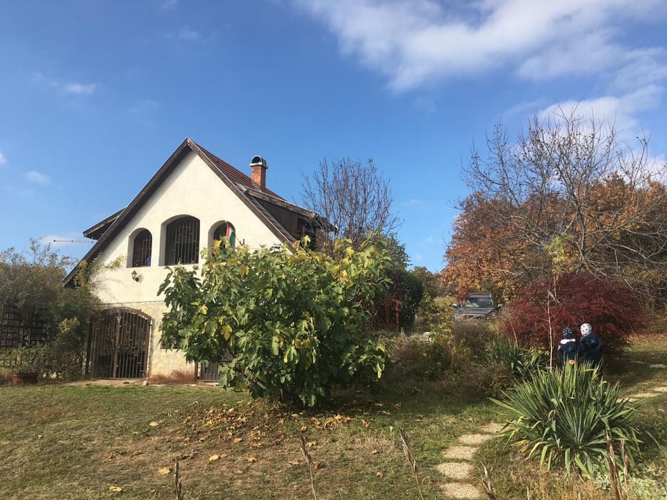 Holiday Home in Dörgicse Vineyard House in Hungary