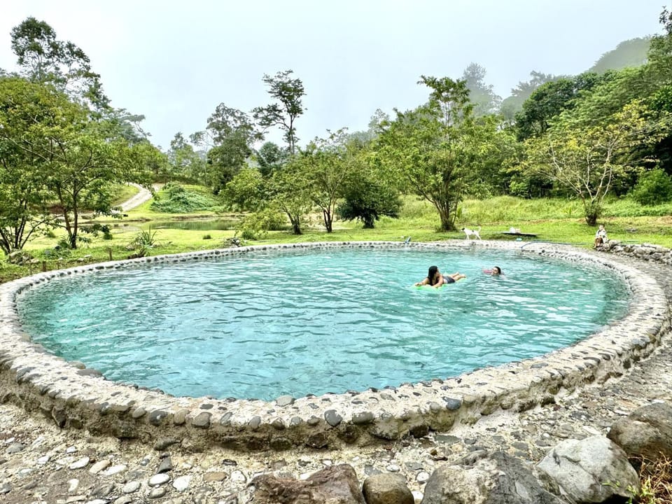 Natural landscape, Garden, Garden view, Pool view, Swimming pool, Swimming pool