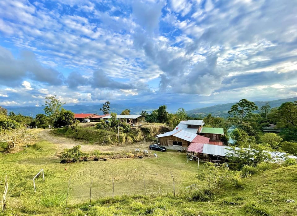 Natural landscape, Garden, Mountain view