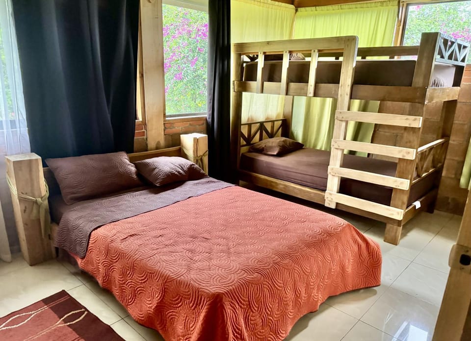 Bed, Photo of the whole room, Bedroom, bunk bed