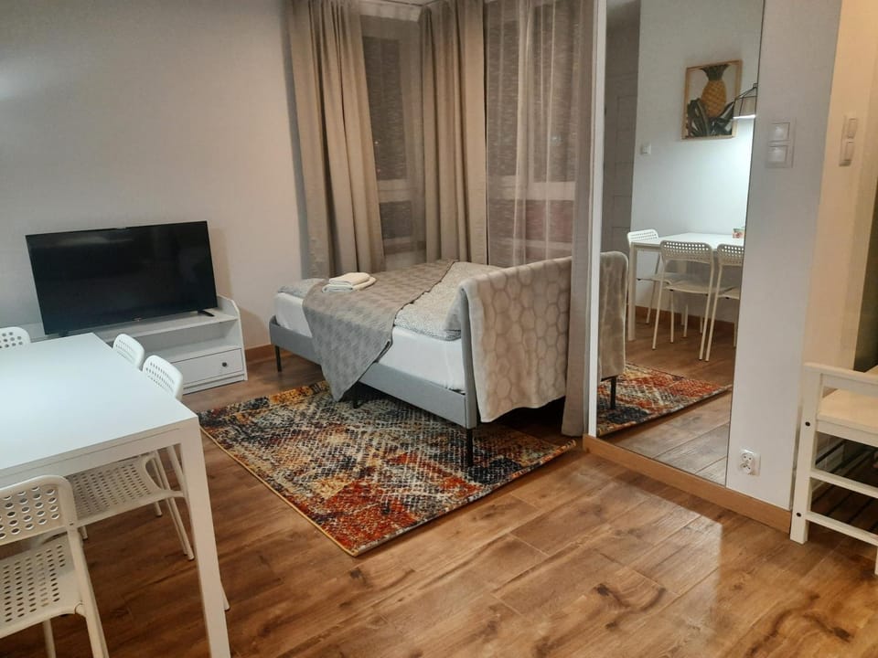 Bed, TV and multimedia, Photo of the whole room