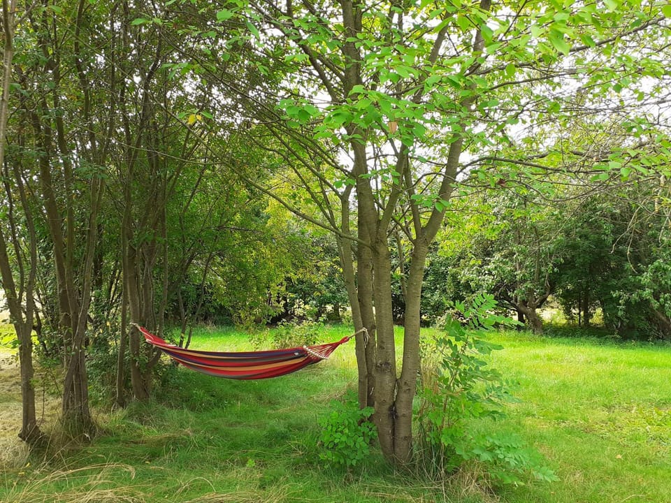 Kiszkowianka domki Nature lodge in West Pomeranian Voivodeship, Poland