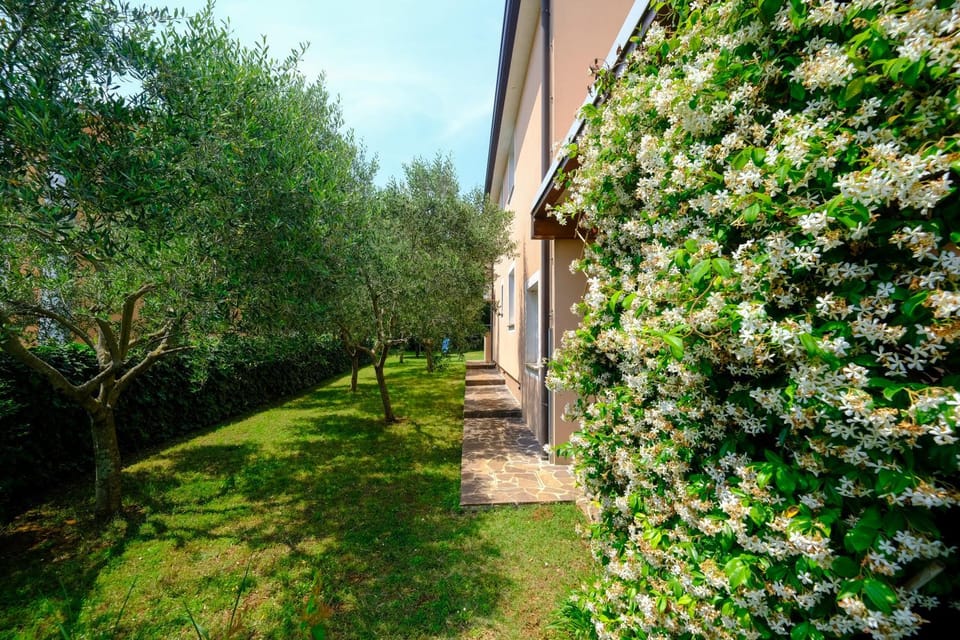 Apartments Antonac Apartment in Istria County