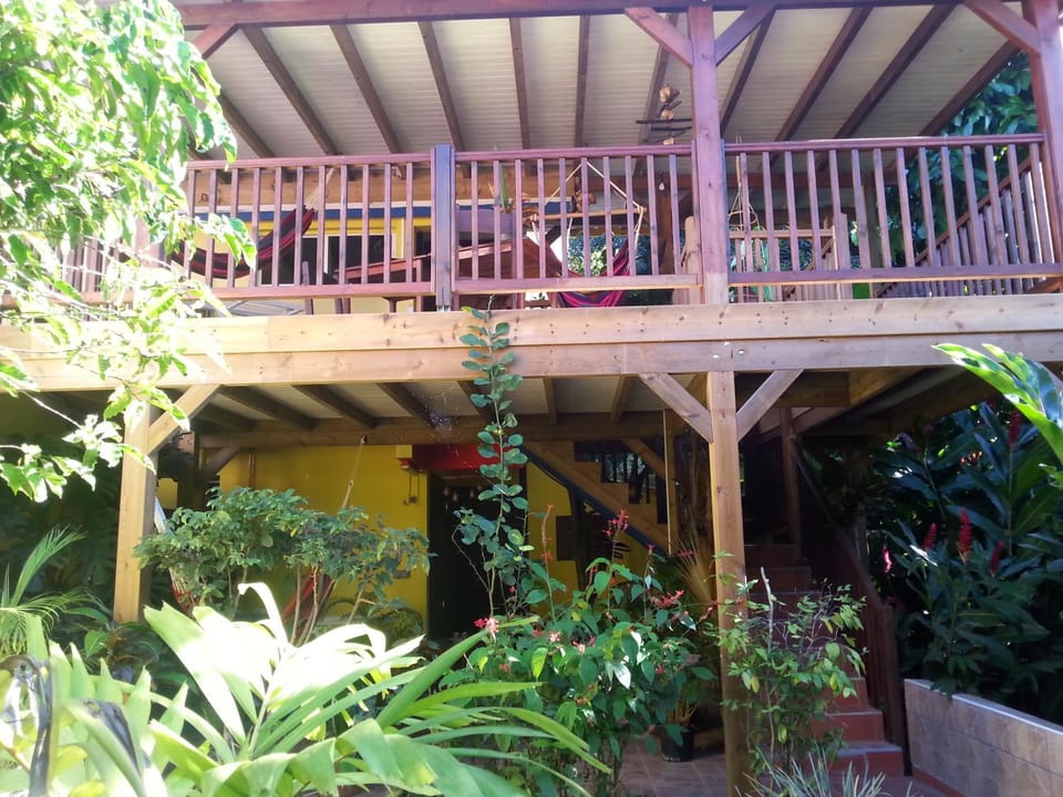 Garden view, Garden view