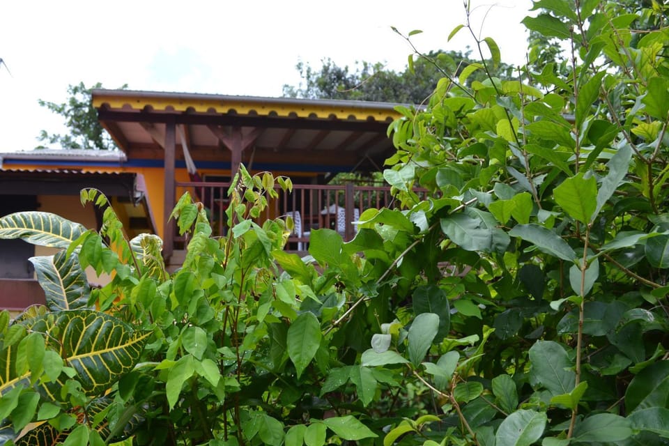 Other, Garden view