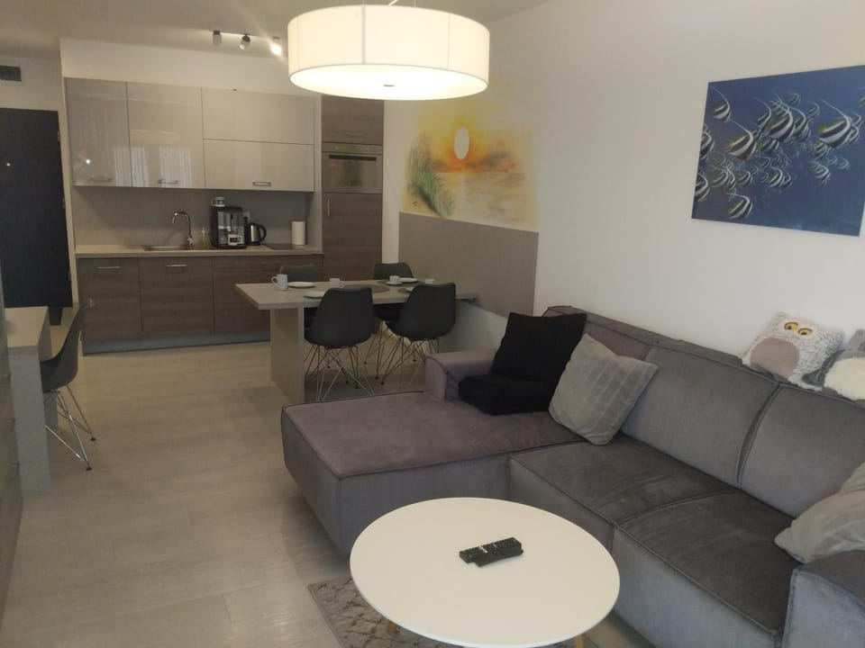 Kitchen or kitchenette, Living room, Photo of the whole room