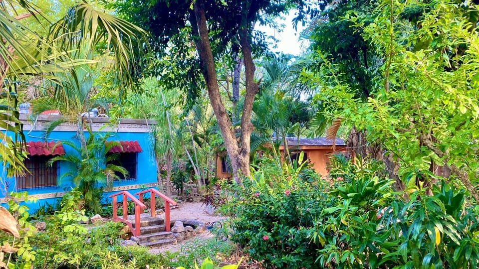 Spring, Day, Natural landscape, Garden, Garden, Garden view