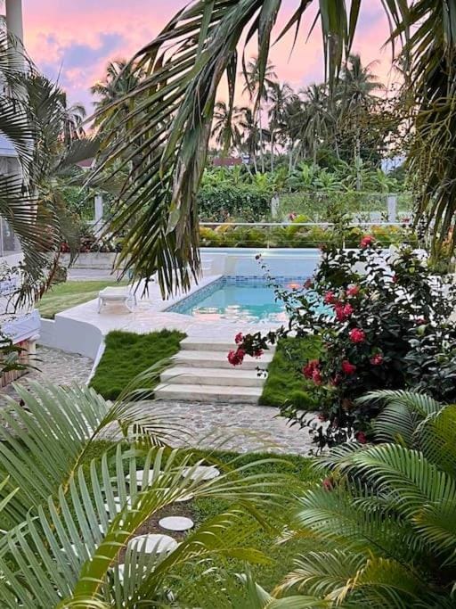 Natural landscape, Garden, Garden view, Pool view, Swimming pool