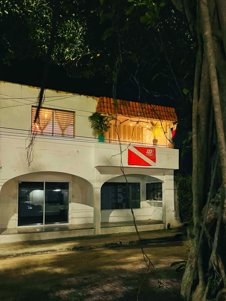 Night, Street view