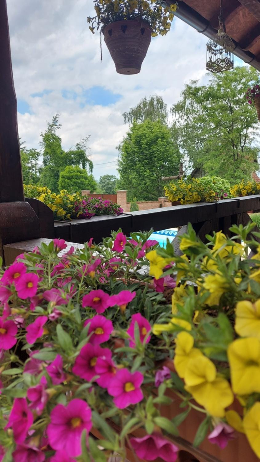 Etno kuća Todorović House in Vojvodina