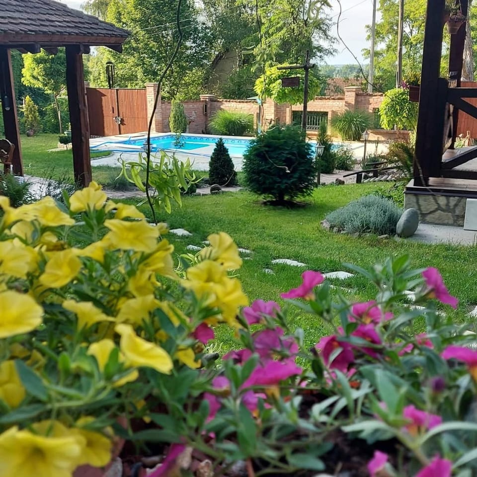 Etno kuća Todorović House in Vojvodina