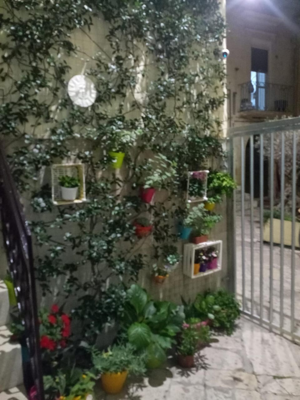 Le camelie Apartment in Altamura