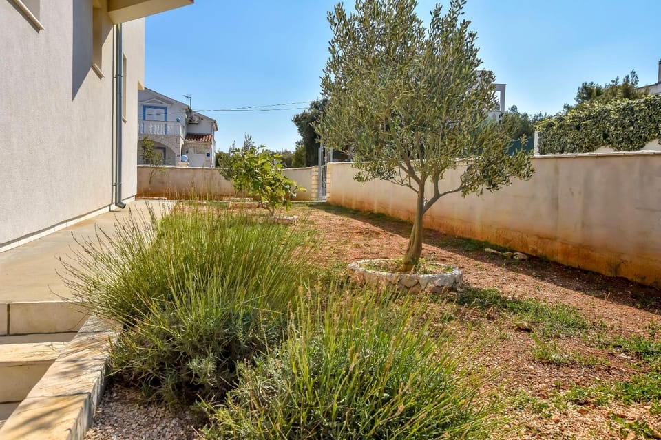 Property building, Patio