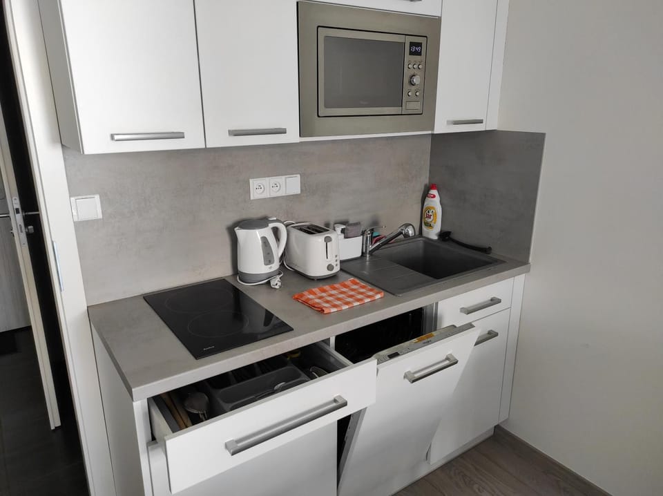 Apartmán Dagmar Apartment in South Moravian Region