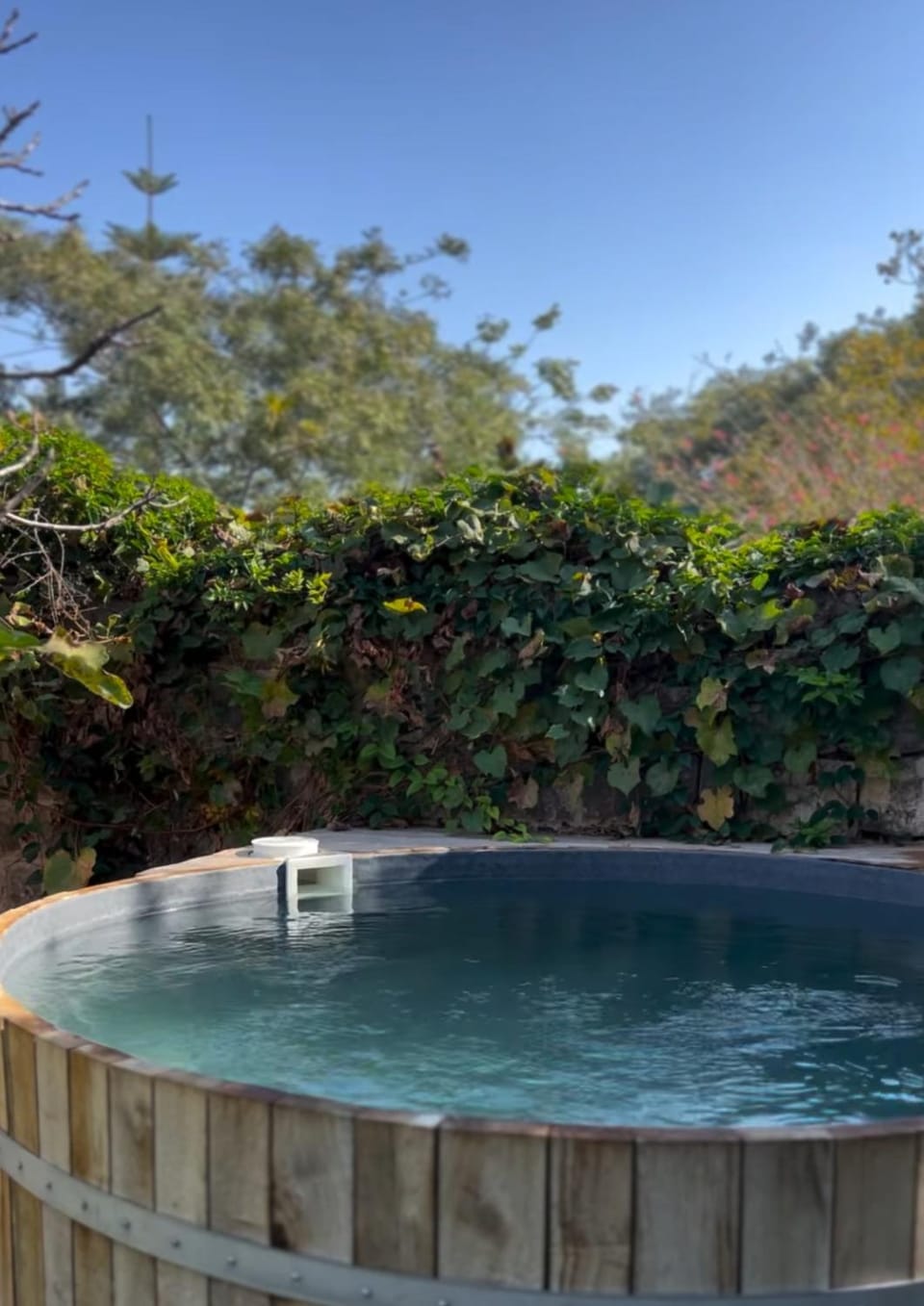 Day, Hot Spring Bath, Swimming pool, Open Air Bath