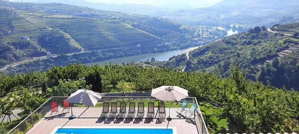 Quinta do Pombal - Douro - Camila's House in Vila Real District